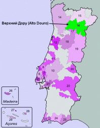 Винодельческие районы Португалии